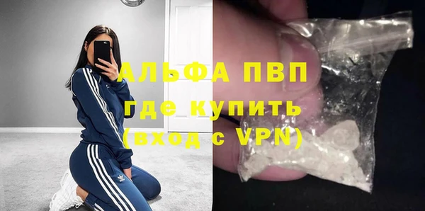 прущие грибы Покачи