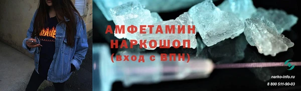 прущие грибы Покачи
