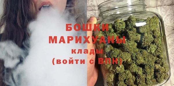 прущие грибы Покачи
