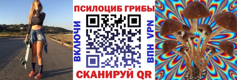 дарнет шоп  Барыш  Псилоцибиновые грибы Psilocybine cubensis 